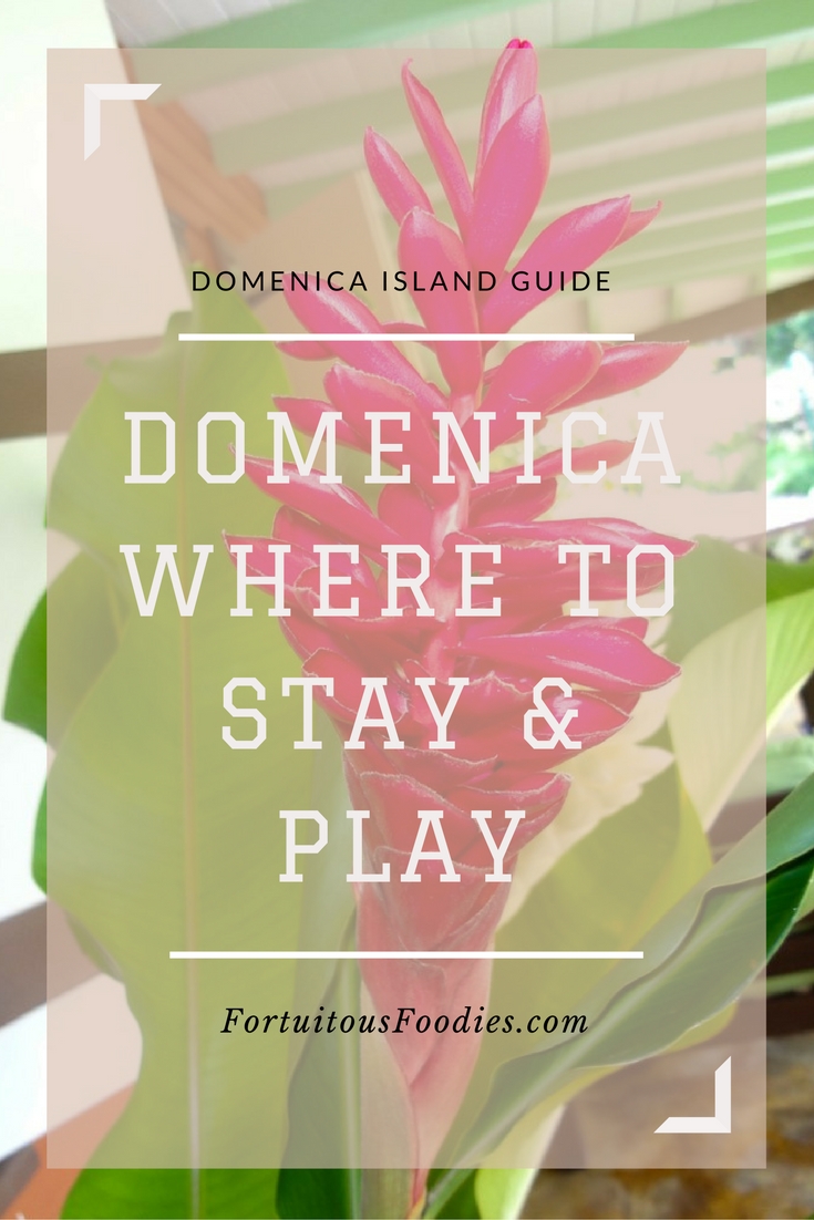 Domenica Island Guide